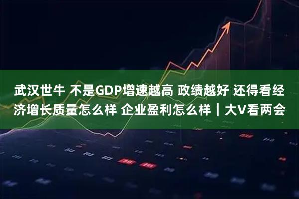 武汉世牛 不是GDP增速越高 政绩越好 还得看经济增长质量怎么样 企业盈利怎么样｜大V看两会