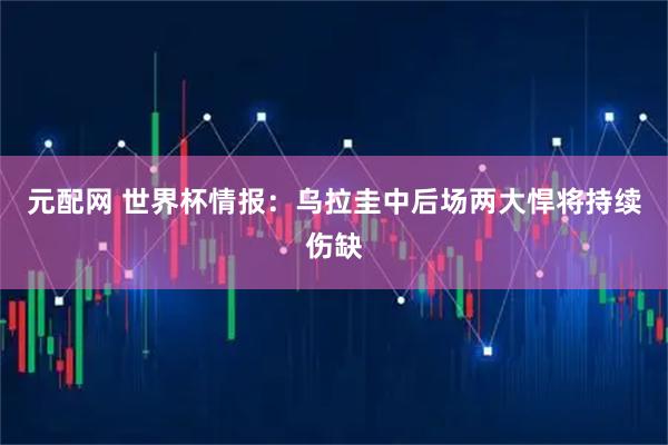 元配网 世界杯情报：乌拉圭中后场两大悍将持续伤缺